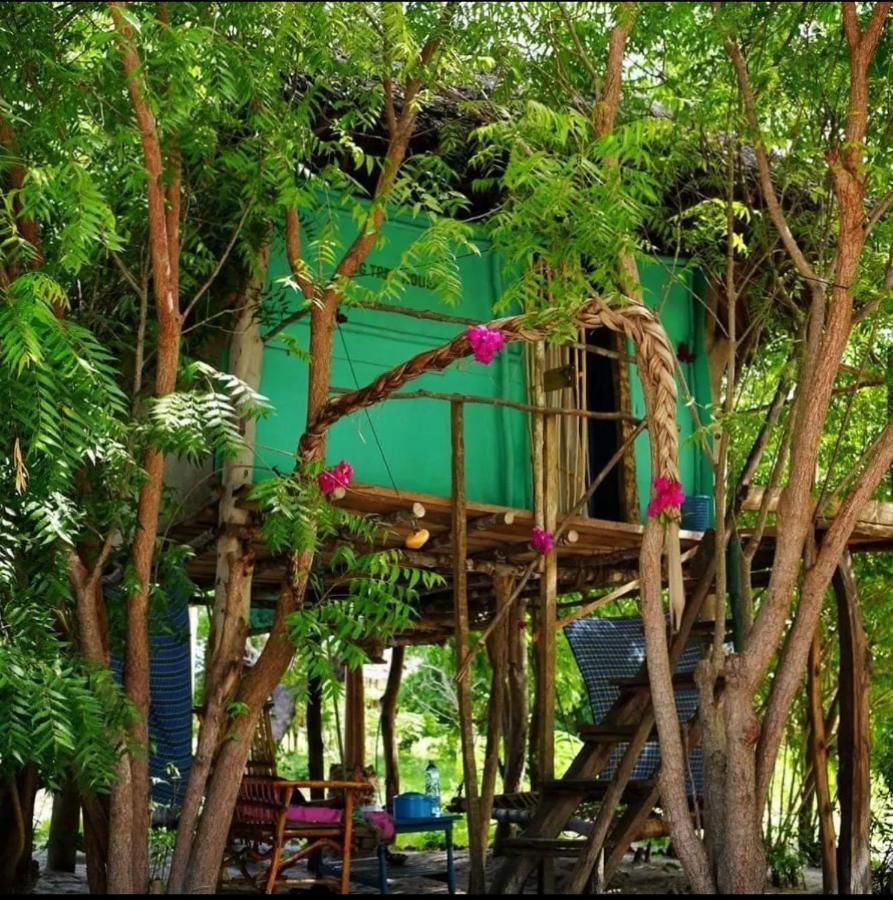 Mida Creek Nature Camp ワタム エクステリア 写真