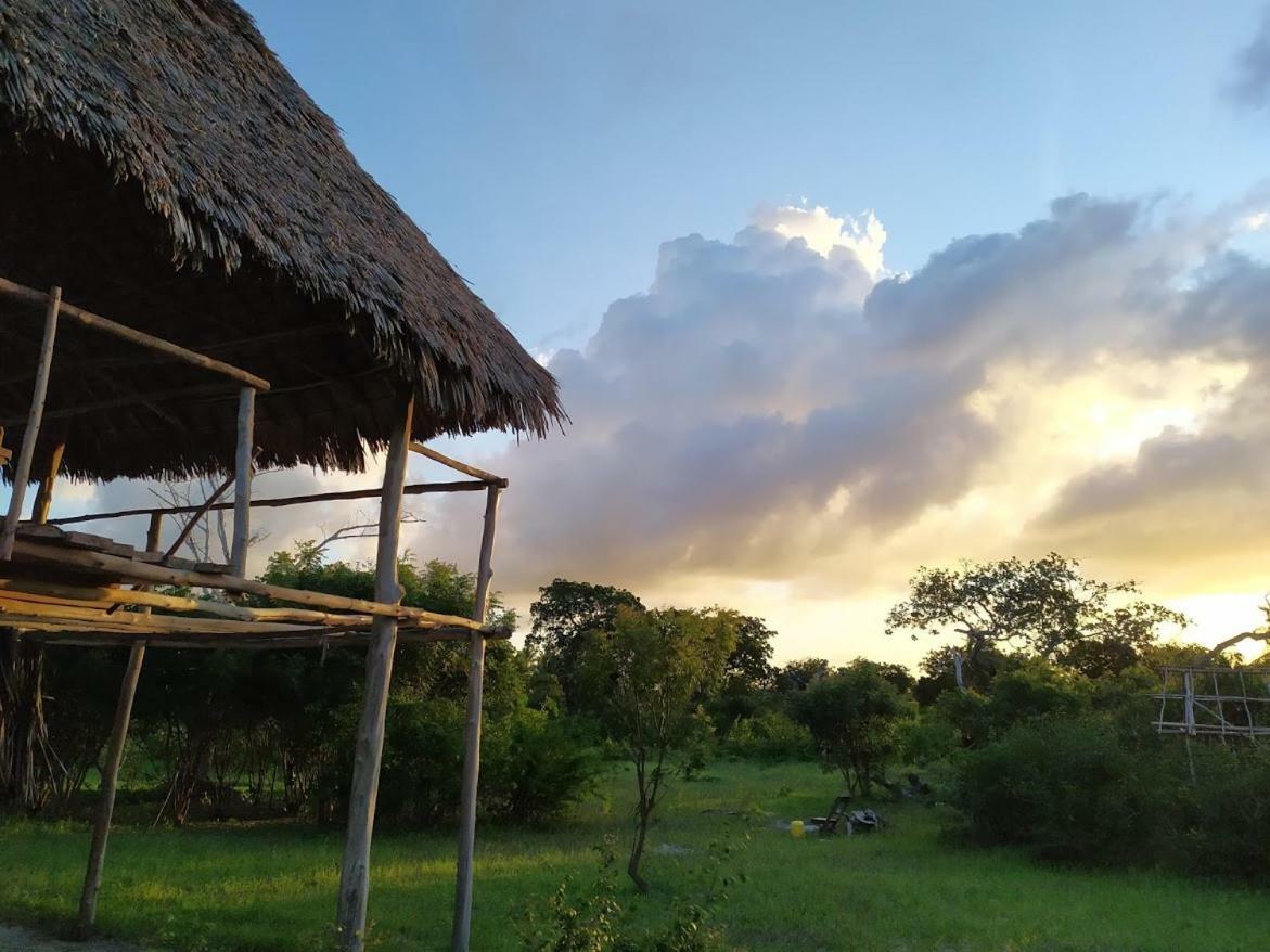Mida Creek Nature Camp ワタム エクステリア 写真