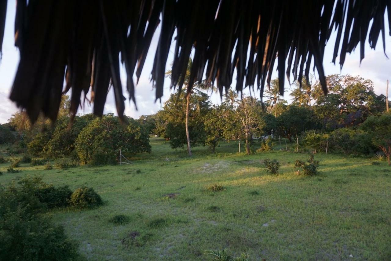 Mida Creek Nature Camp ワタム エクステリア 写真