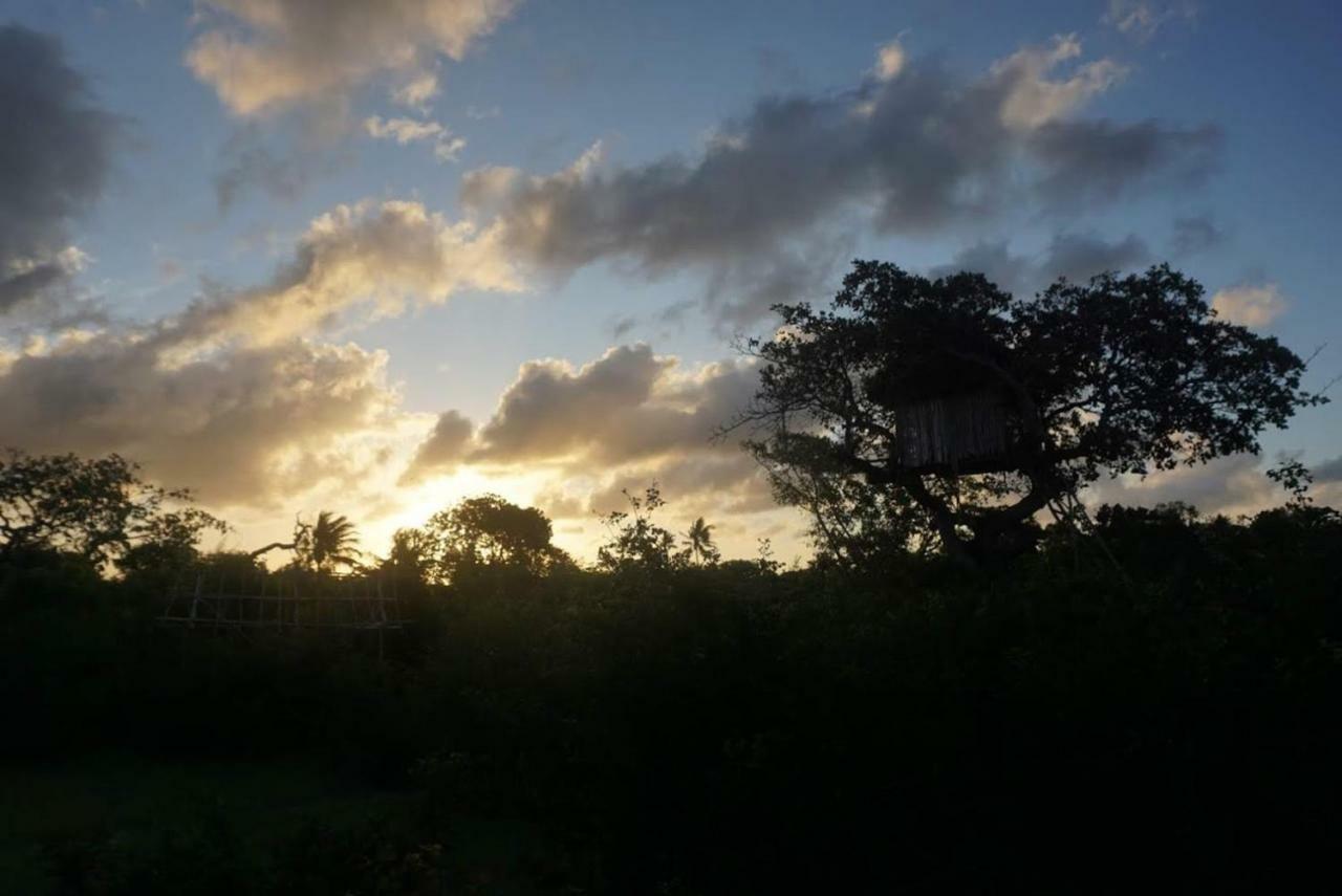 Mida Creek Nature Camp ワタム エクステリア 写真