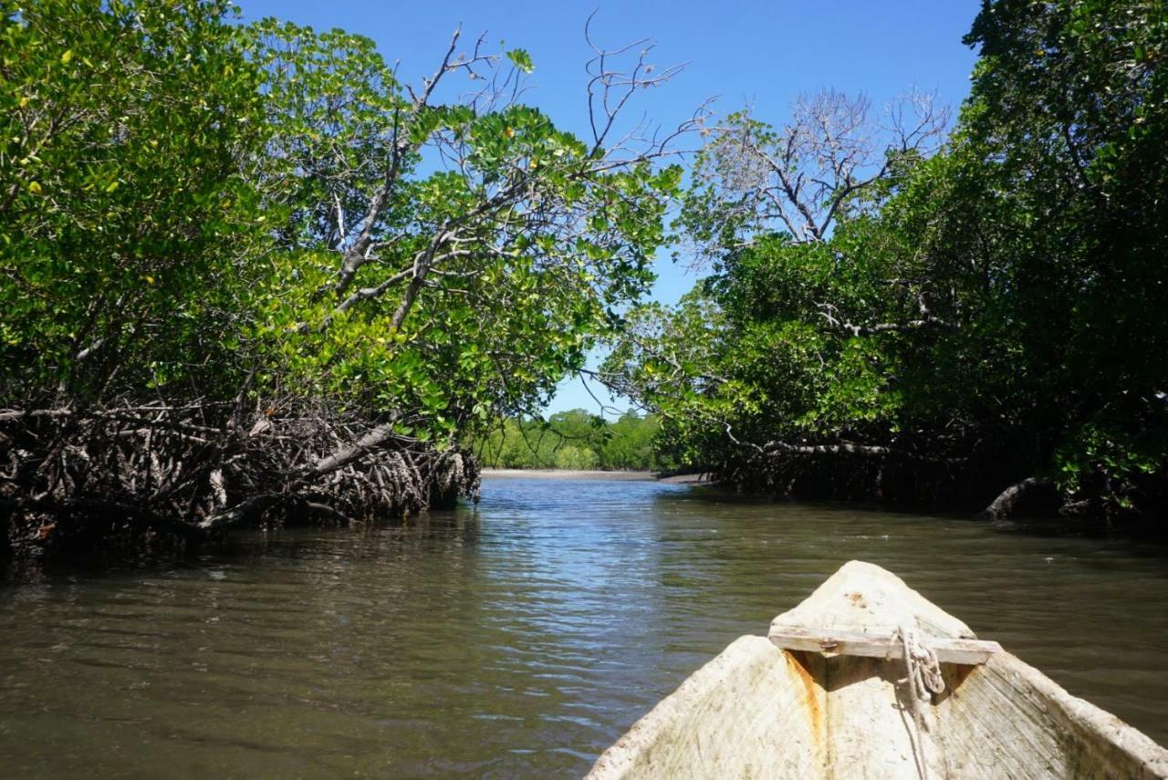 Mida Creek Nature Camp ワタム エクステリア 写真