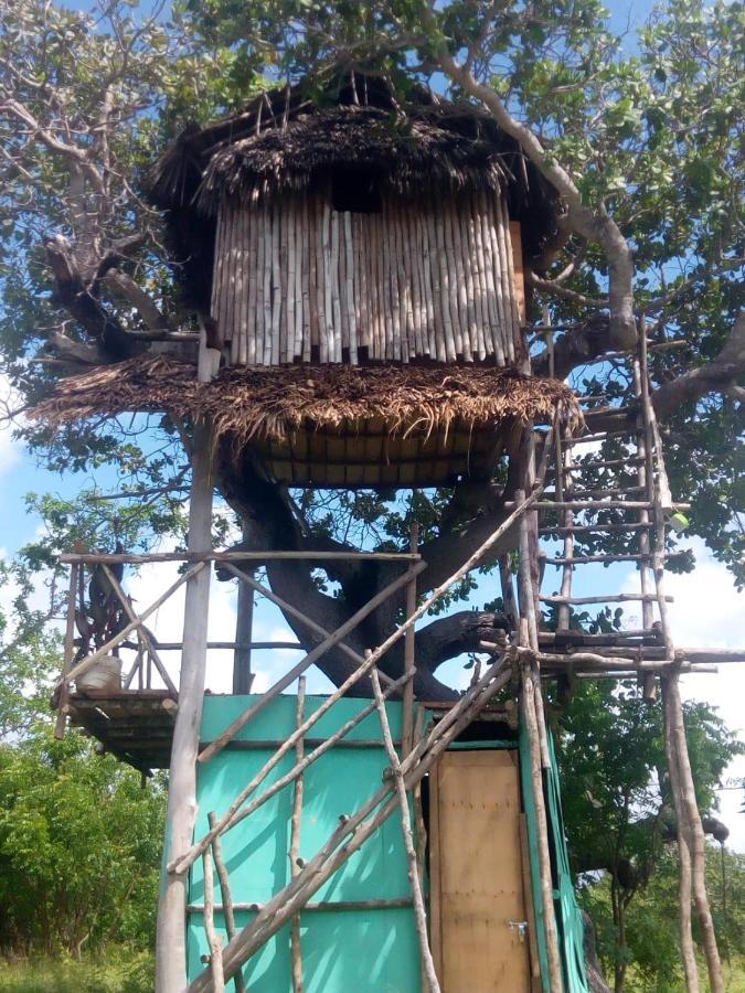Mida Creek Nature Camp ワタム エクステリア 写真